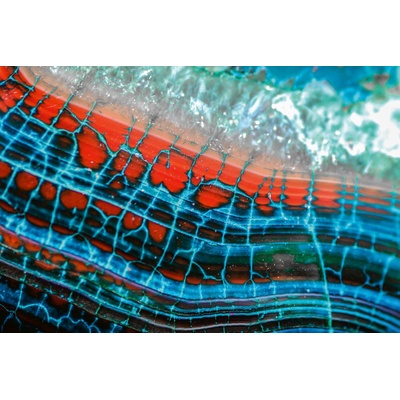 DIMEX ART Флизелинов фототапет драконова жилка 375 x 250 см