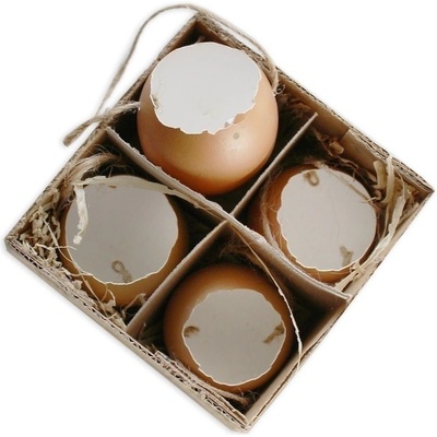 Skořápka závěs 4ks/6cm natural