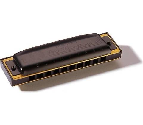 Hohner ProHarp D