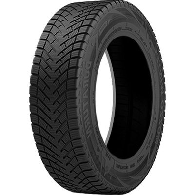 Duraturn Mozzo Winter 195/65 R15 91H