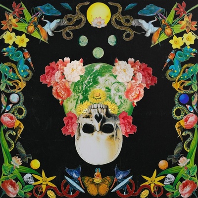 HIPPIE DEATH CULT - HELICHRYSUM LP