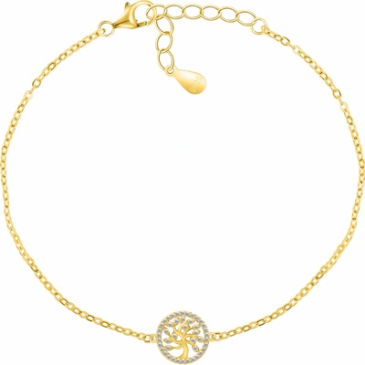 Brilio Silver BRC55Y