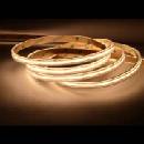 ECOLIGHT EC67799