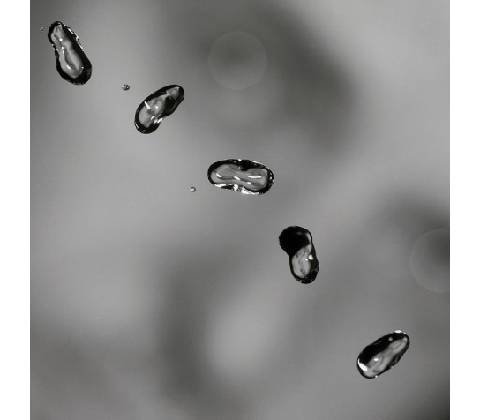 Gabriel Peter - Up LP