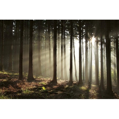 DIMEX ART Флизелинов фототапет ранна сутрешна гора 375 x 250 см