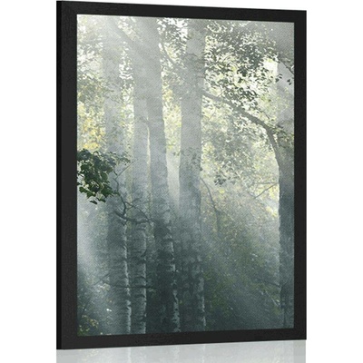 Plakát sluneční paprsky v mlhavém lese - 20x30 silver