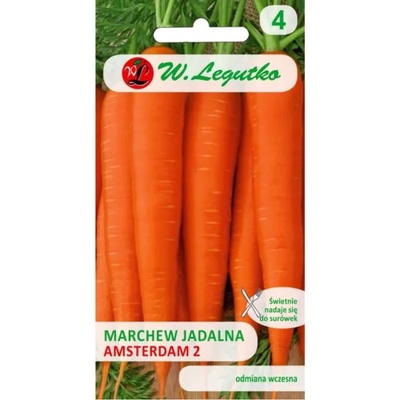 W. Legutko Амстердам 2 ядлива морков (Амстердам) - ранен сорт