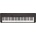 Casio CT S1