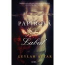 Papírová labuť
