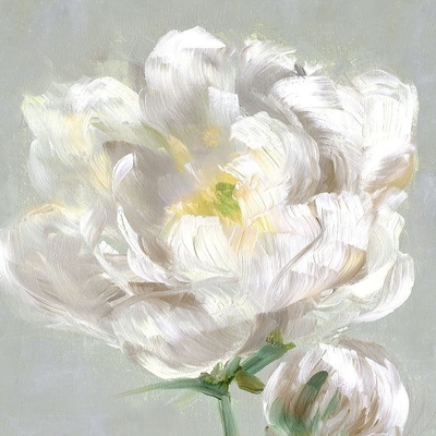 Pivoňka Detail II 50x50 1 deska