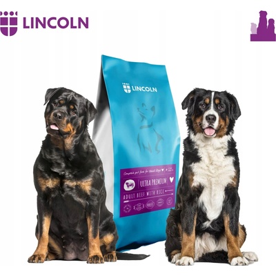 Lincolns hovädziem masom 12 kg