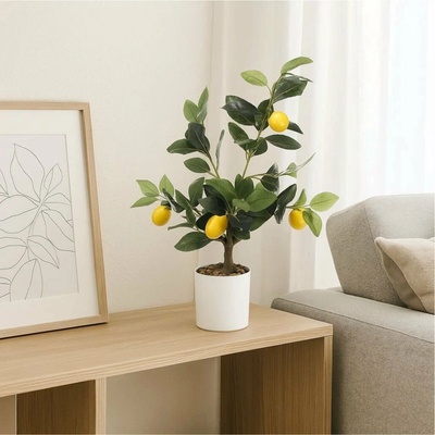 Ibergarden Dekorativní citroník , 58 cm