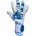 BU1 One blue hyla 7