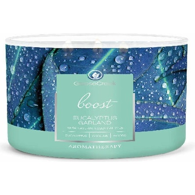 Goose Creek Candle AROMATHERAPY EUCALYPTUS & GARLAND 411 g