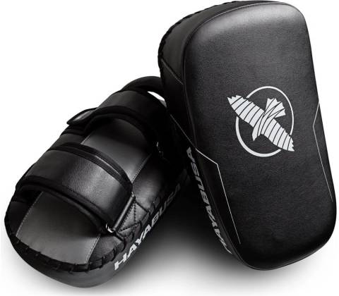 Hayabusa PTS3