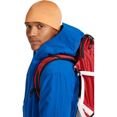 Icebreaker Oasis beanie Feldspar