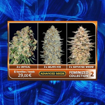 Advanced Seeds Feminized Collection #2 semienka neobsahujú THC 6 ks