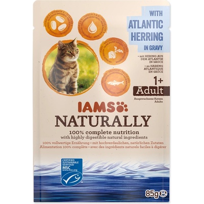 Iams Cat sleď v omáčce 85 g