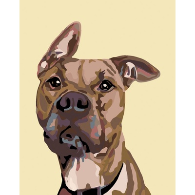 zuty Malování podle čísel Pes s nastraženým uchem 80 x 100 cm vypnuté plátno na rám