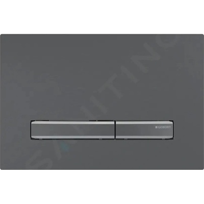 Geberit Sigma50 - 115.671.QD.2