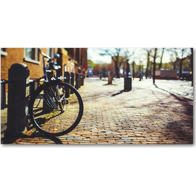 Foto obraz sklo tvrzené kolo Amsterdam 100x50 cm