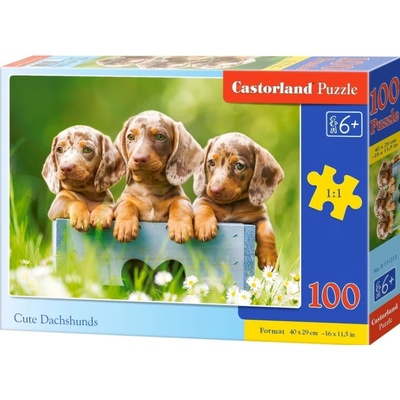 Castorland premium Roztomilí jezevčíci 100 dílků