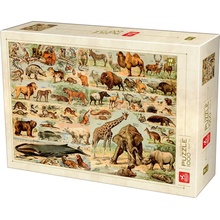 Deico Encyclopedia wild animals 1000 dielov