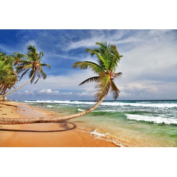 DIMEX ART s. r. o Флизелинов фототапет красив широк плаж 375 x 250 см