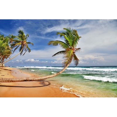 DIMEX ART Флизелинов фототапет красив широк плаж 375 x 250 см