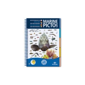 MEDTERREAN MARINE PICTOLIFE (2009)