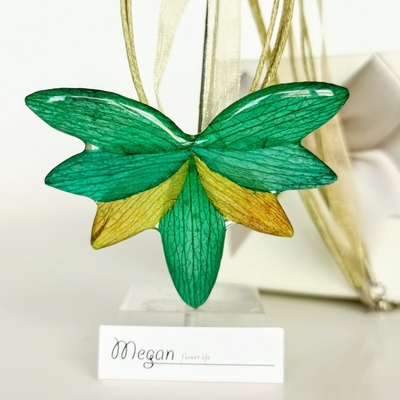 Meganflo Пъстра орхидея