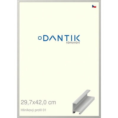DANTIK rám na obraz 29,7 x 42 Stříbrná matná