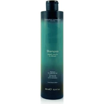 Diapason cosmetics milano Хидратиращ шампоан за суха и увредена коса DCM Dry and Damage Shampoo 300ml