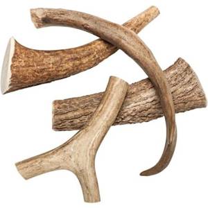 ABC-ZOO Снакс Цял еленов рог l 81-120 г