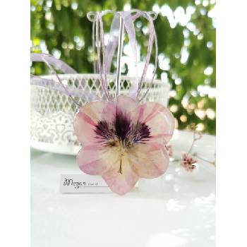 Meganflo Колие - светло лилава Налба