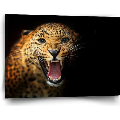 Sablio Obraz Gepard 2 - 60x40 cm