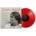 Joan Baez - When You See My Mother, Ask Her to Dance (Limited Edition) (Translucent Red Coloured) (LP) (0753088100017)