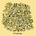 Mac DeMarco - This Old Dog (LP) (0817949013158)