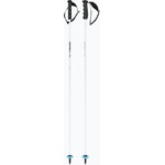 HEAD Скиорски щеки HEAD Worldcup Rebels Carbon white