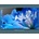 Sony Bravia KD-55AF8