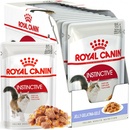 Royal Canin Instinctive v želé 12 x 85 g