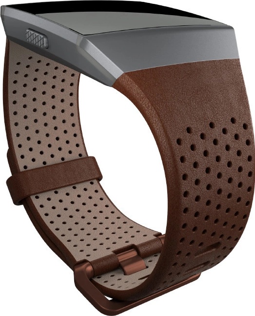 Fitbit Ionic L