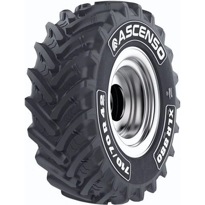 ASCENSO XLR 880 600/65-28 154D TL