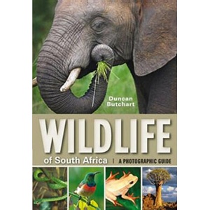 Wildlife of South Africa (ISBN: 9781770076327)