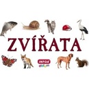 Zvířata