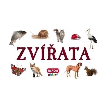 Zvířata