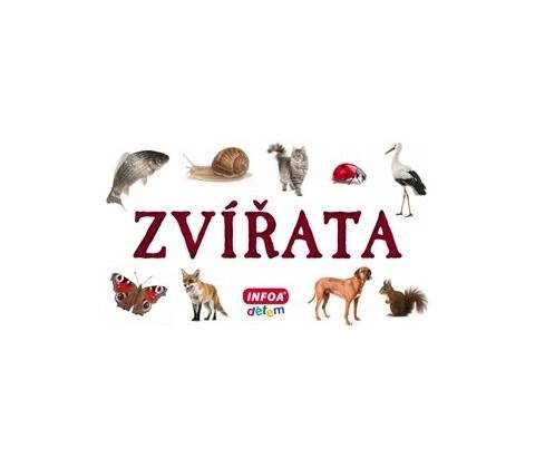 Zvířata