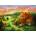 Enjoy - Puzzle Cottage at Dusk - 1 000 piese