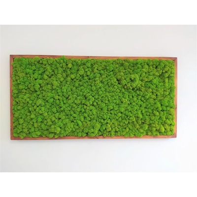 Machový obraz 60cm x 120cm