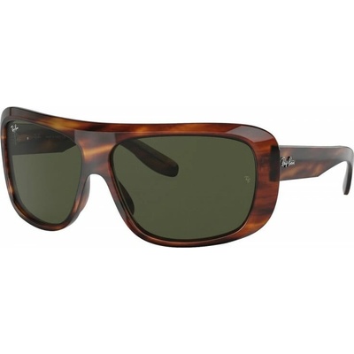 Ray-Ban RB2196 954 31